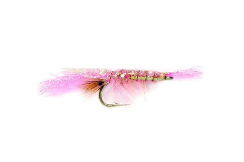 Flashback Shrimp Pink Flies