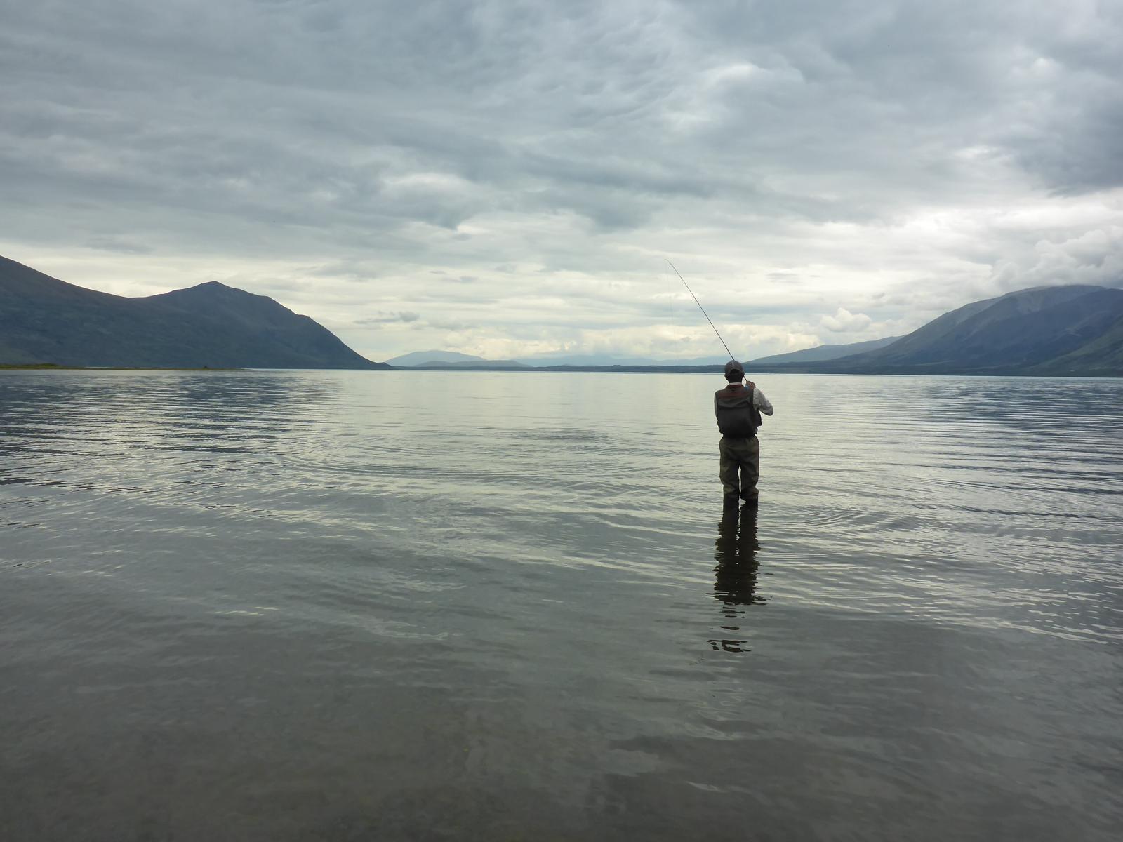 その他 FLY shop その他 FLY shop その他 FLY shop ZX Single-Hand Rod | Fly Fishing