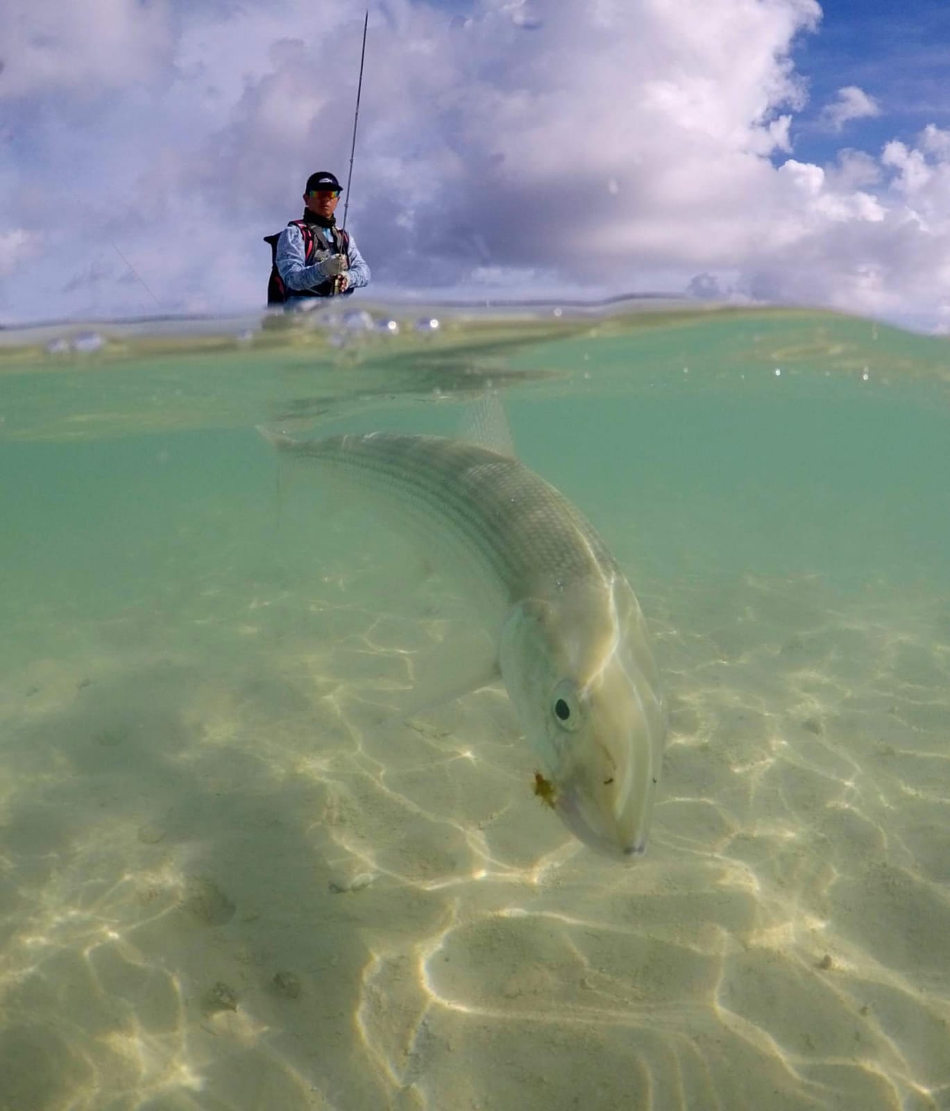 その他 FLY shop その他 FLY shop その他 FLY shop ZX Single-Hand Rod | Fly Fishing
