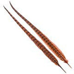Wapsi Ringneck Tail Feathers Pair