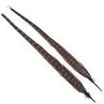 Wapsi Ringneck Tail Feathers Pair