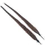 Wapsi Ringneck Tail Feathers Pair