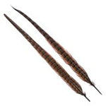 Wapsi Ringneck Tail Feathers Pair