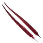 Wapsi Ringneck Tail Feathers Pair