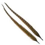 Wapsi Ringneck Tail Feathers Pair
