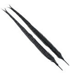 Wapsi Ringneck Tail Feathers Pair