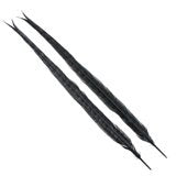 Wapsi Ringneck Tail Feathers Pair