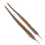 Wapsi Ringneck Tail Feathers Pair