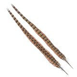 Wapsi Ringneck Tail Feathers Pair