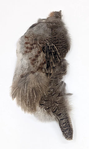 Wapsi Hungarian Partridge Half Skin