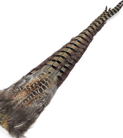 Wapsi Ringneck Pheasant Tail Clumps, Natural, Hen