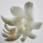 Fishient Group Mallard Drake Feathers
