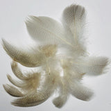 Fishient Group Mallard Drake Feathers