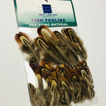 Fishient Group Cock Pheasant Shoulder Feathers