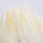 Fishient Group Strung Saddle Hackle