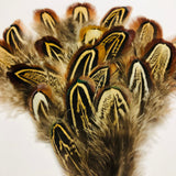 Fishient Group Cock Pheasant Shoulder Feathers