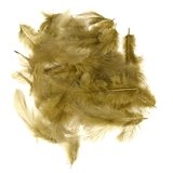 Wapsi White Matuka Soft Hackle