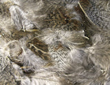 Hareline Premium Hungarian Partridge Feathers Natural